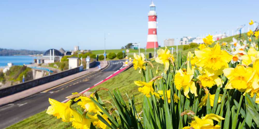 About - Plymouth Hoe in Bloom - Plymouth Homes