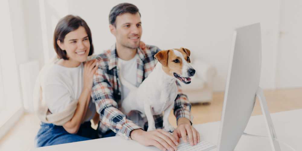 Guaranteed Rent Plymouth - Couple and a Dog Looking at a PC - Plymouth Homes Guaranteed Rent Plymouth - Couple and a Dog Looking at a PC - Plymouth Homes