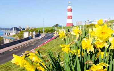 Why Landlords Should Choose a Letting Agent in Plymouth